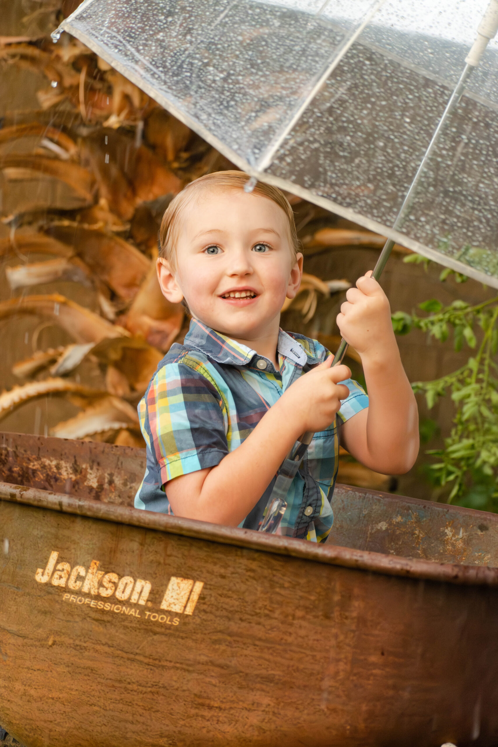 Capturing Rainy Day Magic: Mini Umbrella Photoshoot in Avondale, AZ