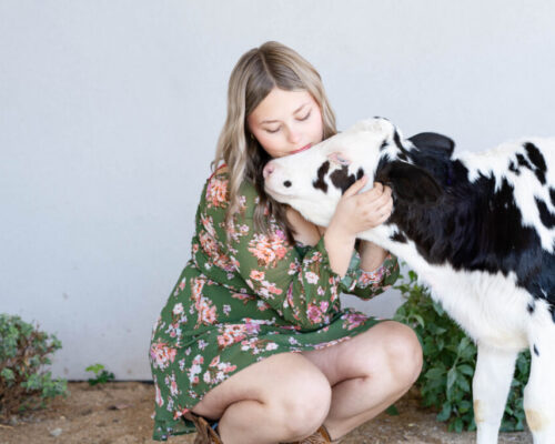 A Dream Come True: A Photoshoot with Bubbles the Calf