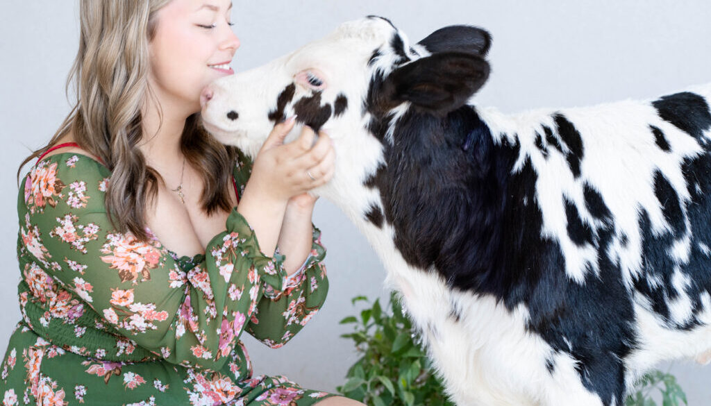 A Dream Come True: A Photoshoot with Bubbles the Calf