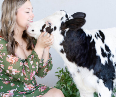 A Dream Come True: A Photoshoot with Bubbles the Calf