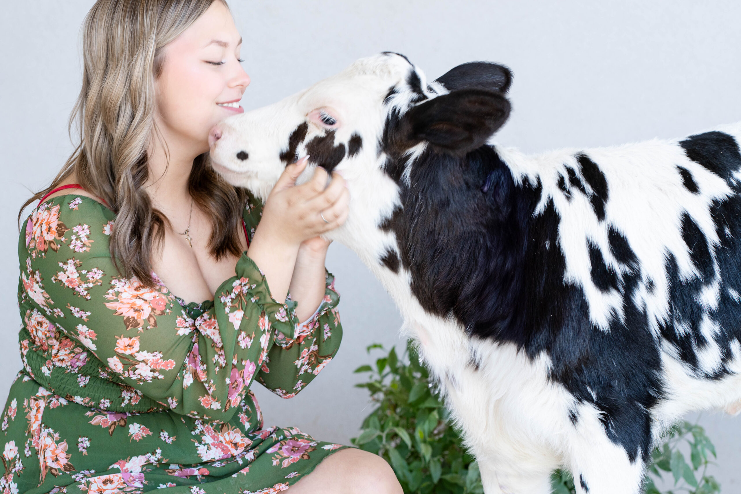 A Dream Come True: A Photoshoot with Bubbles the Calf