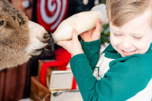 A Christmas Barnyard Bash: Capturing Adorable Moments at the Waddell Farmers Market