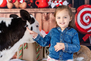 A Christmas Barnyard Bash: Capturing Adorable Moments at the Waddell Farmers Market