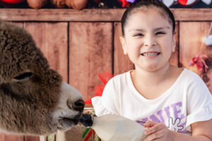 A Christmas Barnyard Bash: Capturing Adorable Moments at the Waddell Farmers Market