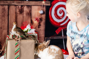 A Christmas Barnyard Bash: Capturing Adorable Moments at the Waddell Farmers Market