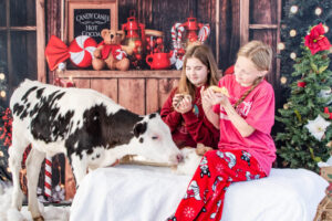 A Christmas Barnyard Bash: Capturing Adorable Moments at the Waddell Farmers Market