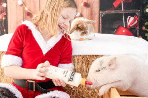 A Sweet Holiday Photoshoots at the Get Local Waddell Farmers Market