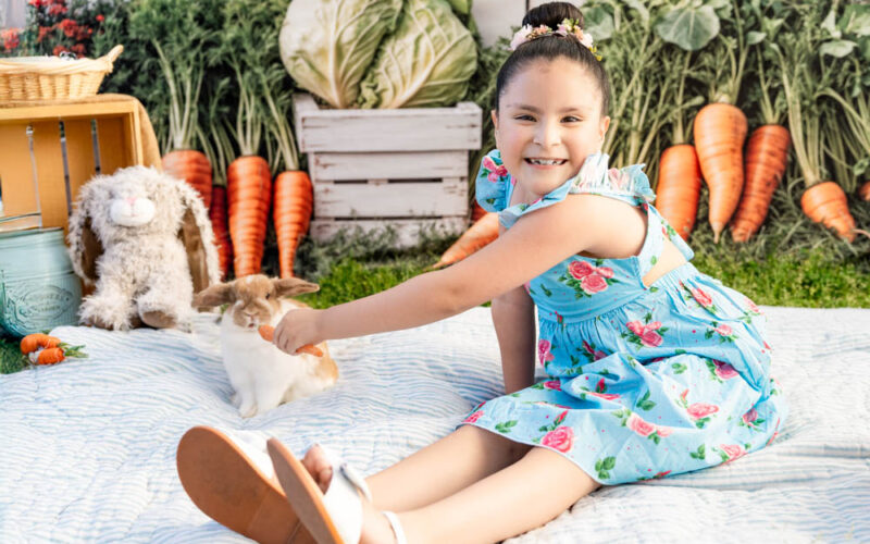 A Storybook Moment in Our Spring Minis!