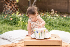 cake-smash-avondale-az-portrait (31 of 96) cake-smash-avondale-az-portrait (31 of 96)