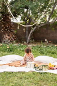 cake-smash-avondale-az-portrait (51 of 96) cake-smash-avondale-az-portrait (51 of 96)