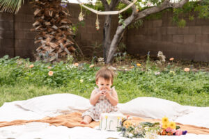 cake-smash-avondale-az-portrait (53 of 96) cake-smash-avondale-az-portrait (53 of 96)