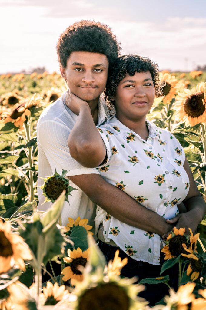 Golden sunflowers glowing in the evening light at Sweet Flower Home